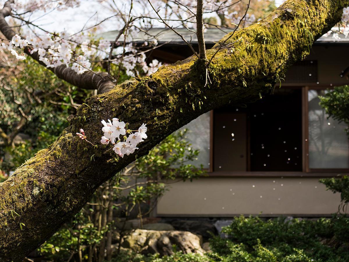 Nanzenji Sando Kikusui Kyoto Buitenkant foto