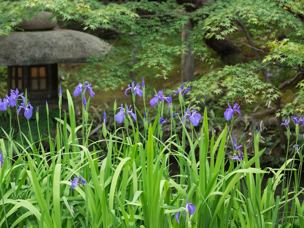 Nanzenji Sando Kikusui Kyoto Buitenkant foto
